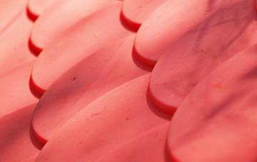 Cane End plastic roof costs