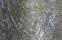 Cane End fibreglass roof work